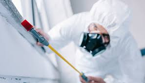 Best Residential Pest Control  in Eatonton, GA